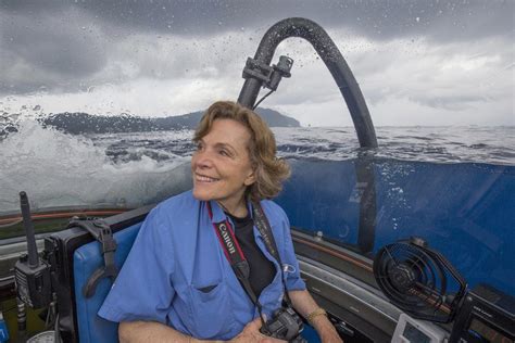 sylvia earle foundation